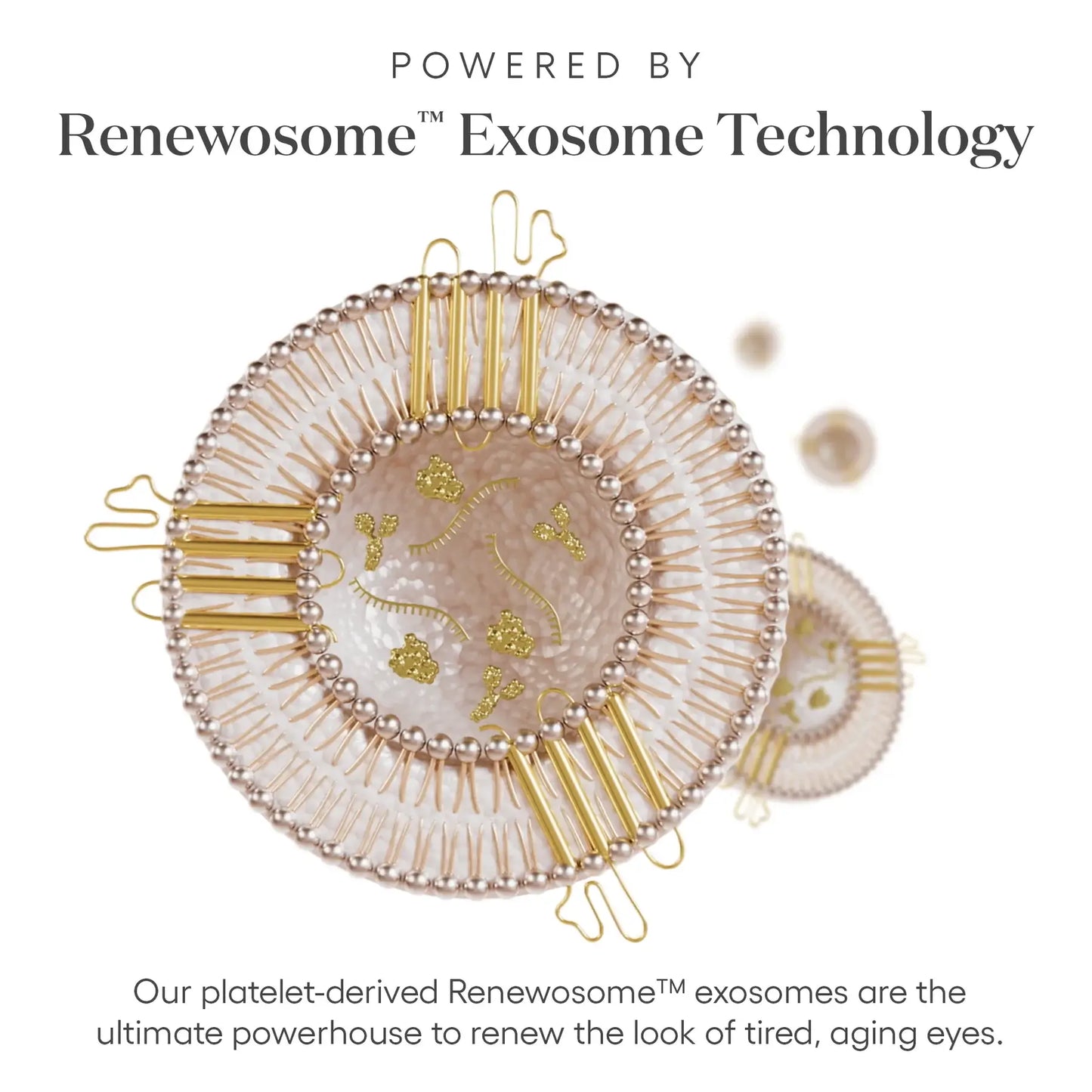 EYE Serum - Filler Lux