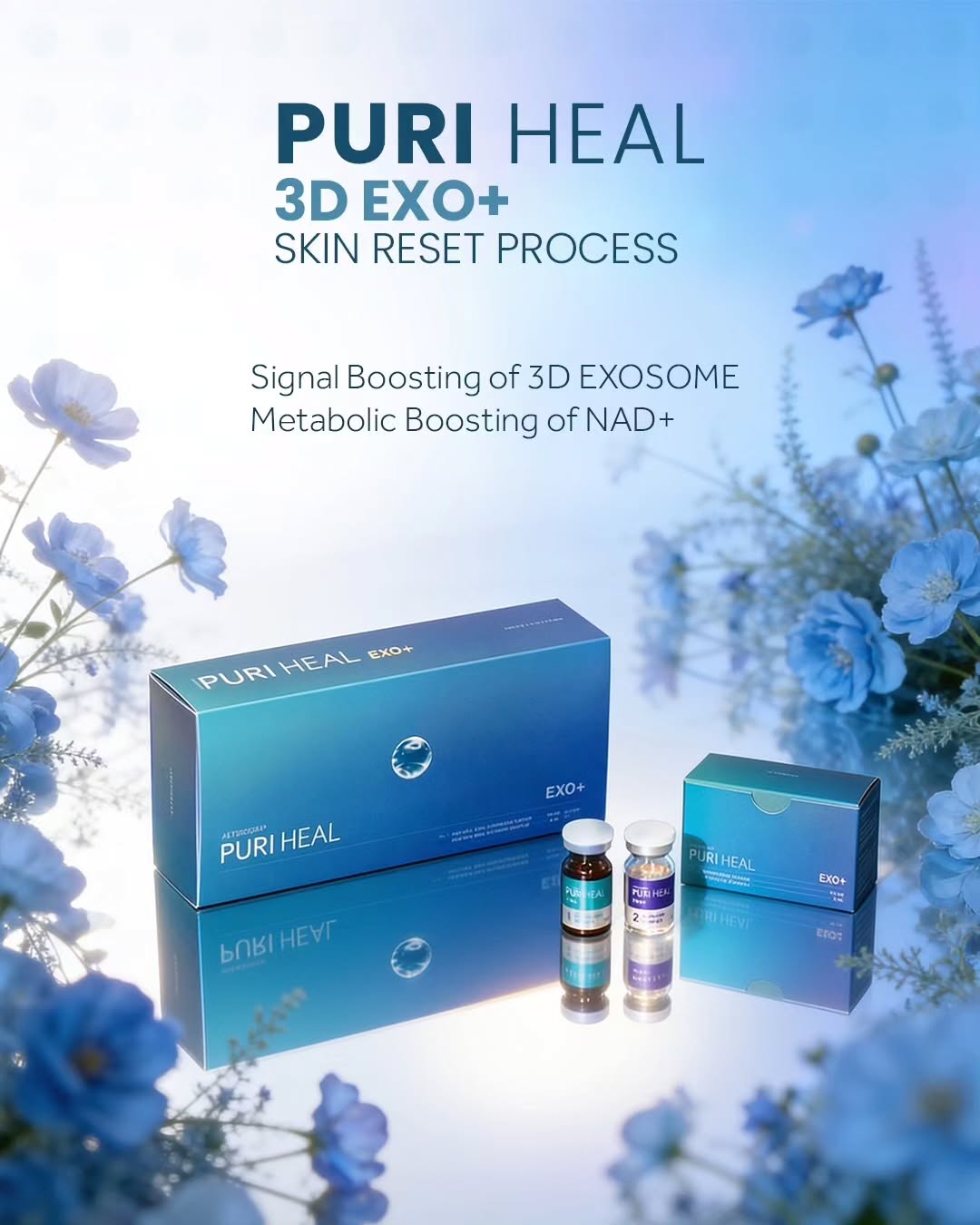 Puri Heal 3D Exo+ |  Mesoglow