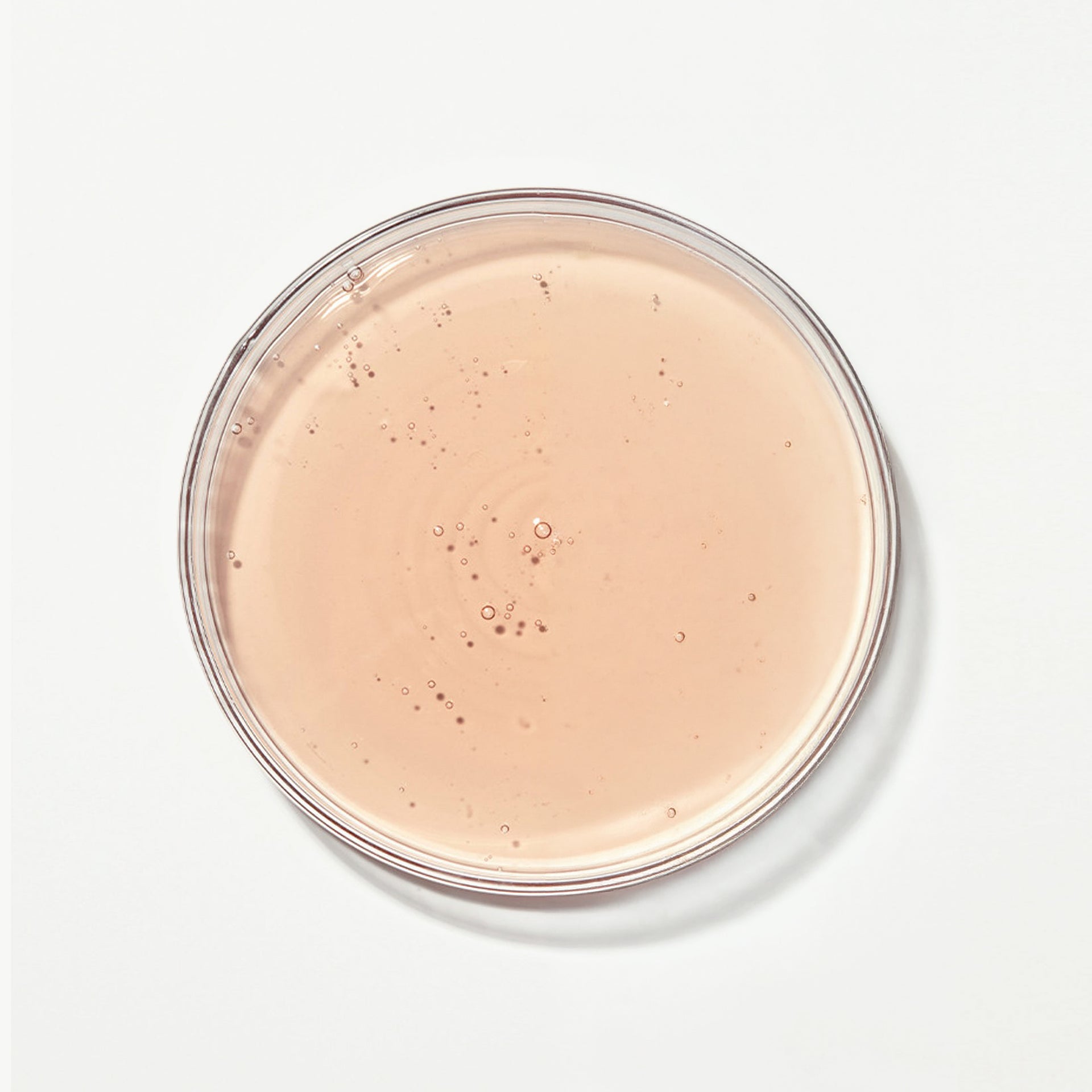 Beldora 299 Prime Nutrient Toner