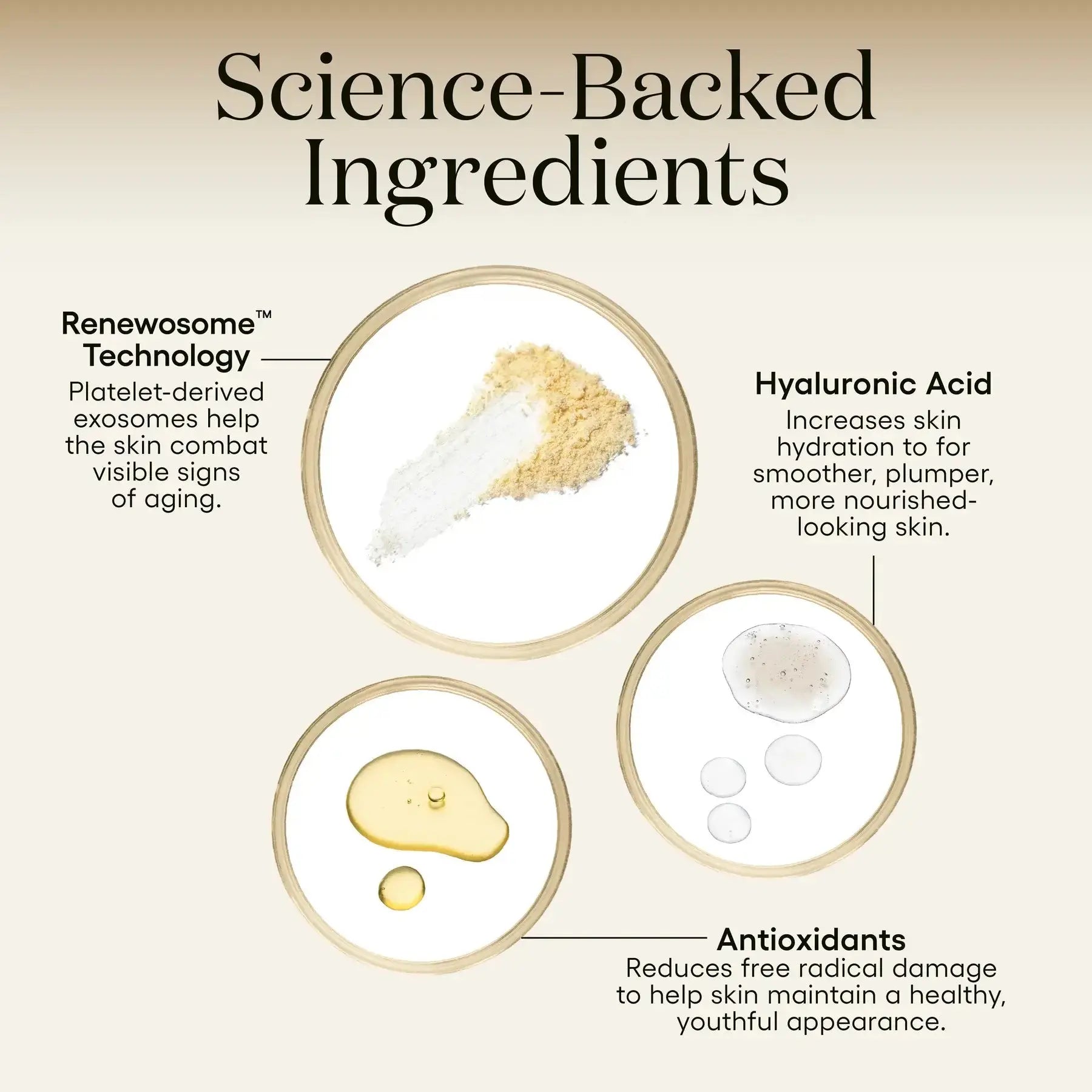 INTENSE Serum - Filler Lux