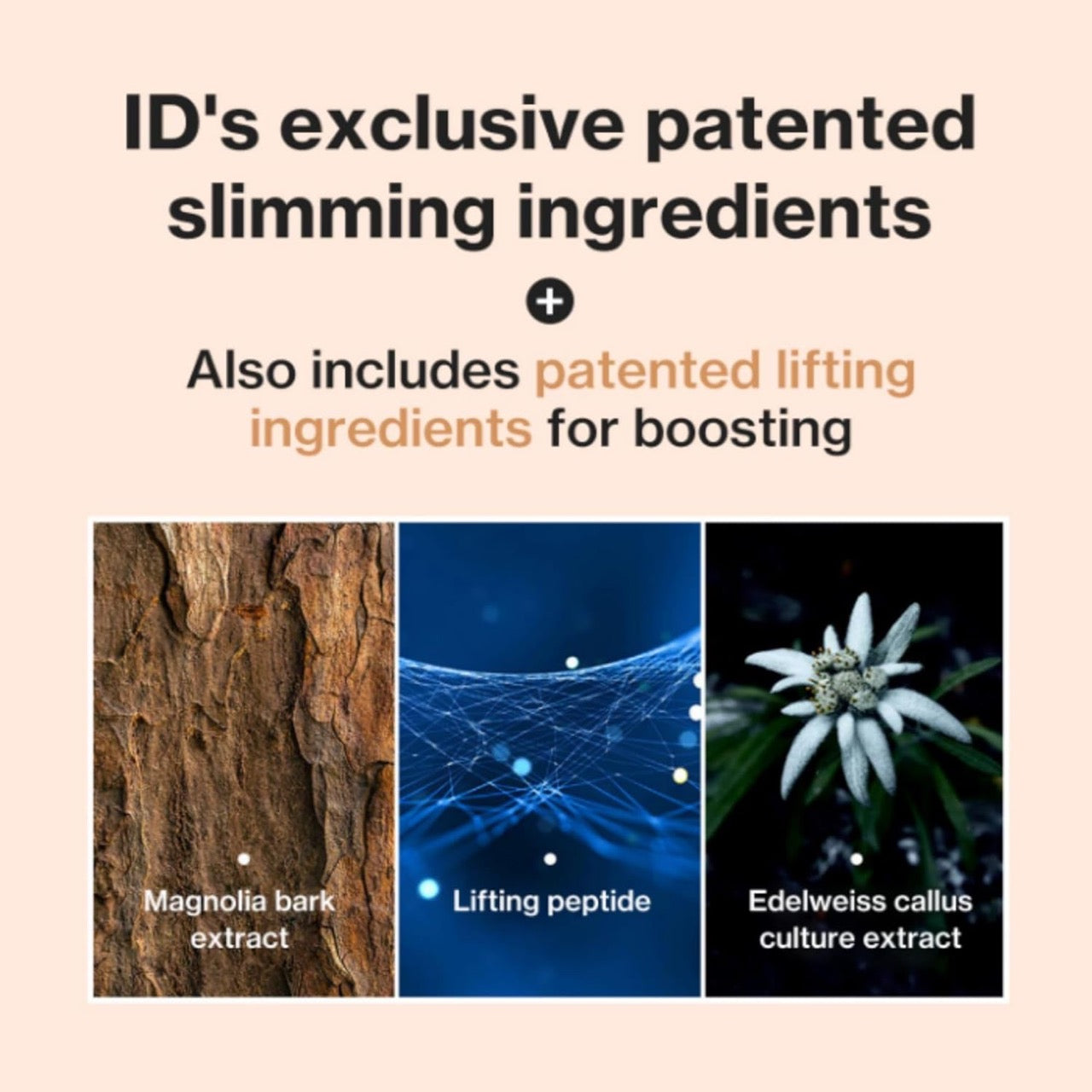Face Fit Minus Band V3 - id PLACOSMETICS - Mesoglow